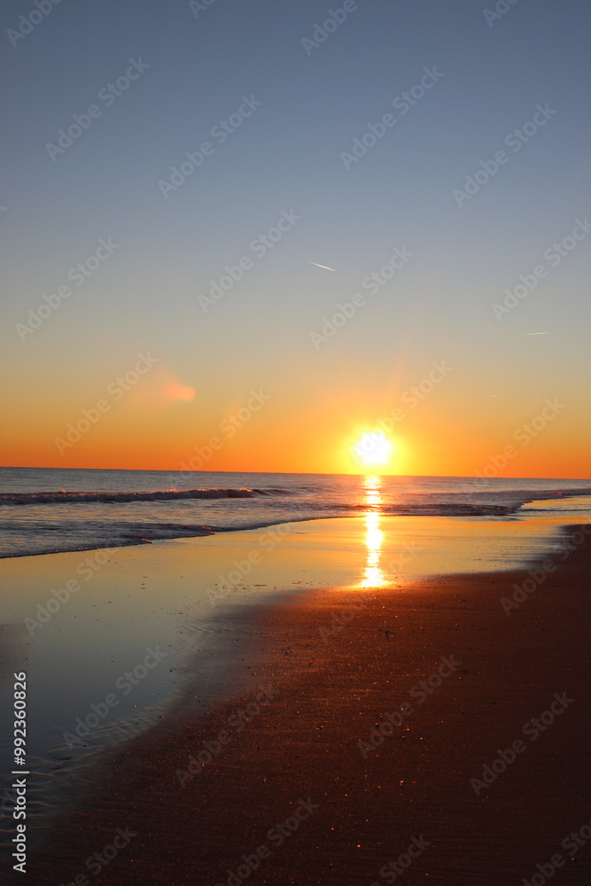 Obraz premium sunset on the beach