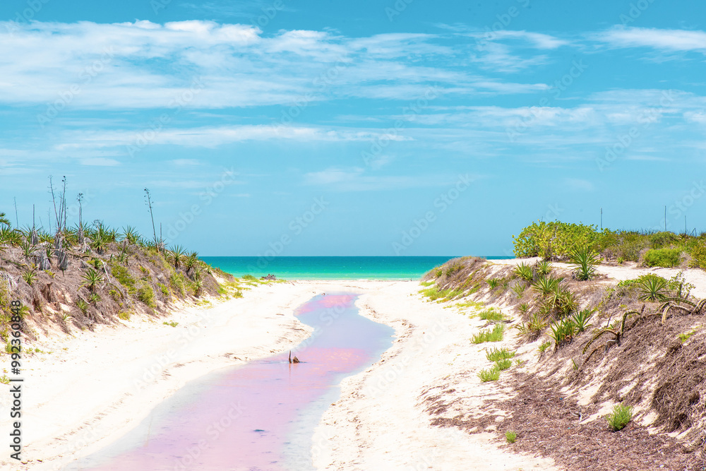 A landscape in Coloradas in Mexico where the pink river meets the blue turquoise ocean on a hot sunny summer day A landscape in Coloradas in Mexico where the pink river meets the blue turquoise ocean on a hot sunny summer day
