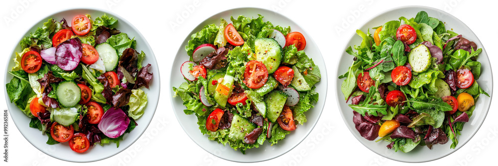 Set of fresh vegetable salads with mixed greens, cucumbers, and tomatoes isolated on transparent background. Set of fresh vegetable salads with mixed greens, cucumbers, and tomatoes isolated on transparent background.