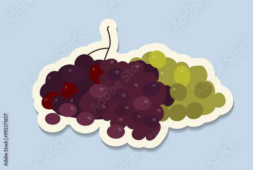 Wine festival sticker. Red and green grapes. Winery and winemaking, vineyard. Alcoholic drinks and beverages. Template and layout. Flat vector illustration