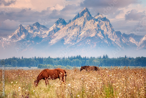 End of summer in the Grand Teton Mountains
