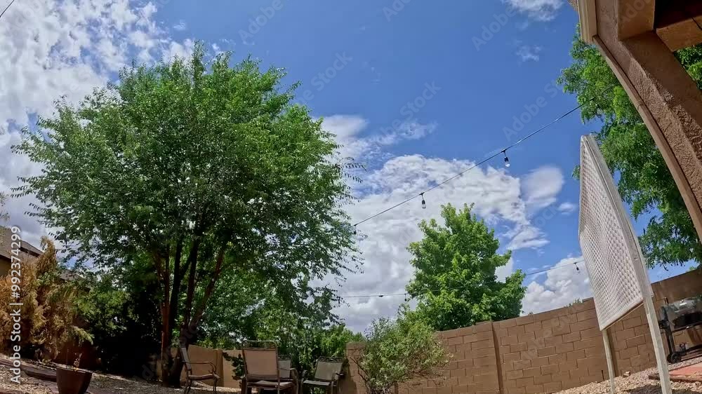 Relaxing backyard retreat with vibrant greenery and clear skies in a sunny afternoon Relaxing backyard retreat with vibrant greenery and clear skies in a sunny afternoon