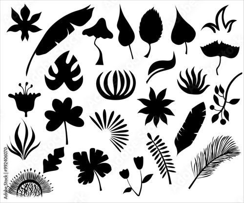 A vectorized illustration featuring separate silhouettes of various plants and leaves in black. This minimalist and elegant design showcases the beauty of nature through simple and detailed botanical 