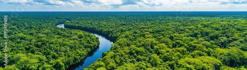 Lush green forest with a winding river under a bright sky, showcasing the beauty of nature and biodiversity.