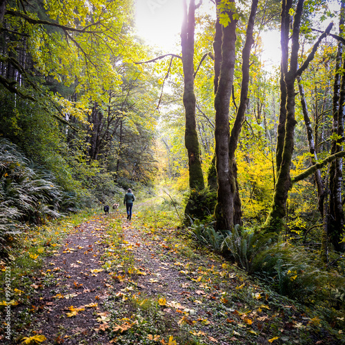 Hike in the Oregon Woods