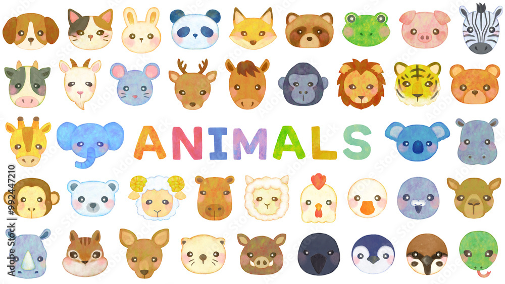 かわいい動物のイラストセット 顔 正面 アイコン かわいい動物のイラストセット 顔 正面 アイコン