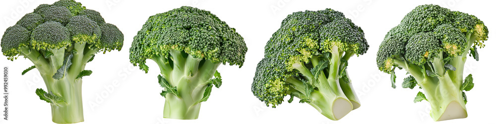 Fresh broccoli heads on white isolate background Fresh broccoli heads on white isolate background