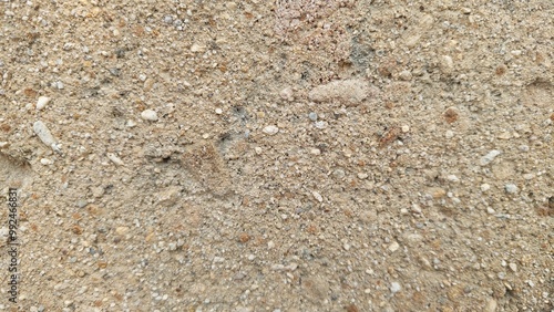 A textured background image of a dirt path with shadows of tree leaves.