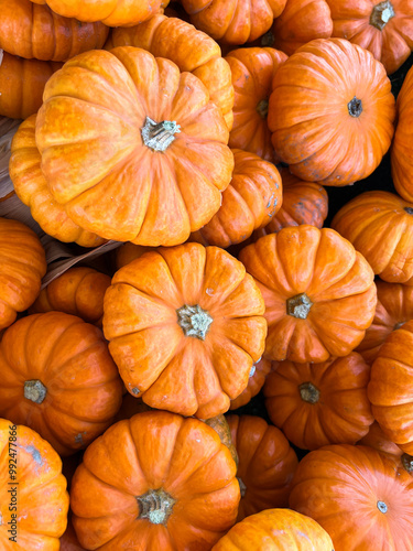 Small orange pumpkins background - looking down 
