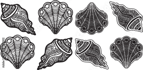 Drawing conch shell  for coloring book, tattoo, shirt design, logo, sign. stylized illustration of conch shell 