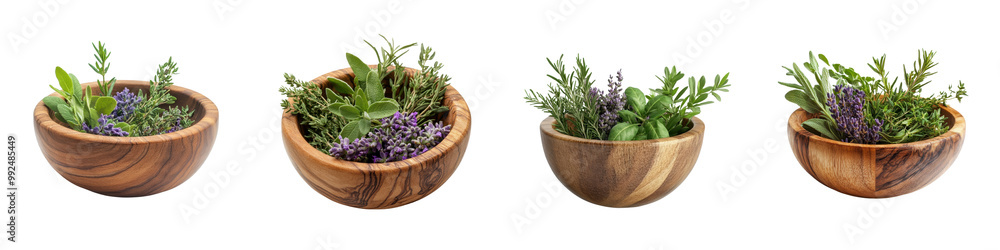 Assortment of Potted Herbs Succulents and Other Small Plants Arranged in Wooden Bowls or Vessels for Home Decor and Lifestyle Photography Assortment of Potted Herbs Succulents and Other Small Plants Arranged in Wooden Bowls or Vessels for Home Decor and Lifestyle Photography