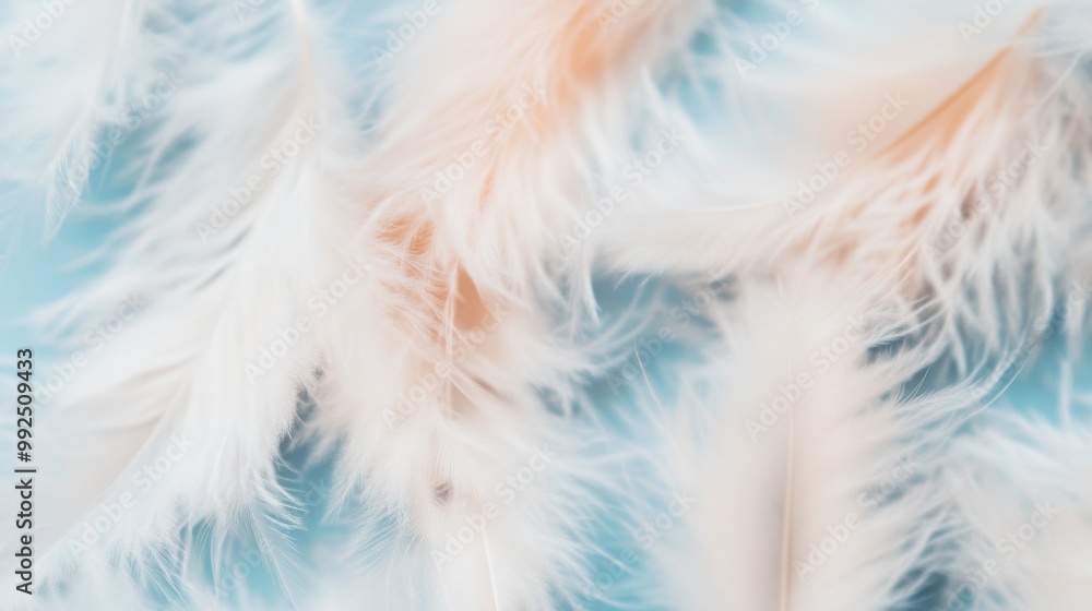 Delicate soft white feathers lay scattered across a soothing blue surface, showcasing their fine texture and intricate details Delicate soft white feathers lay scattered across a soothing blue surface, showcasing their fine texture and intricate details