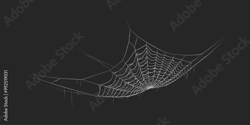 Spider web hanging in empty space realistic vector icon. Halloween party interior decor eerie detail 3d object illustration on black background