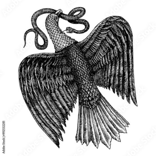 Premium Vector | Black Falcon A Vector Logo Design. Bald eagle with  flag color vector image. Vintage hand drawn of eagle and snake battle vector image.