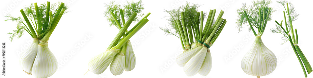 Fresh green onions, white isolate background. Fresh green onions, white isolate background.