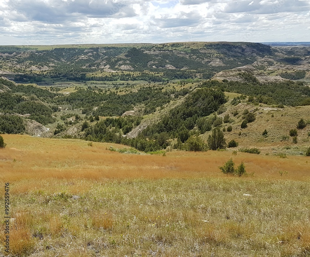 Obraz premium beautiful landscape of Theodore Roosevelt National Park