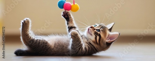 Kitten lying on its back, batting at a toy hanging above, relaxed play, cute, engaging