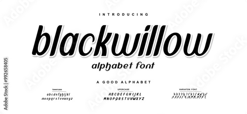 Font Elegant “blackwillow” Uppercase Lowercase And Number. Classic Lettering Minimal Fashion Designs. Fonts serif Typography modern regular decorative vintage concept. vector illustration