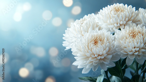 white flowers set against a soft bokeh background. The delicate blooms evoke feelings of purity, peace, and elegance, making it ideal for romantic or contemplative themes