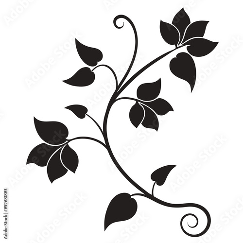 Elegant leafy vine illustration Silhouette vector line art  photo