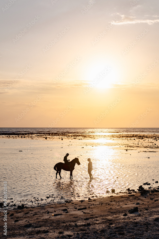 sunset horse riding at the beach sunset horse riding at the beach