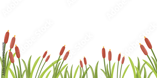 Cattail background banner on white