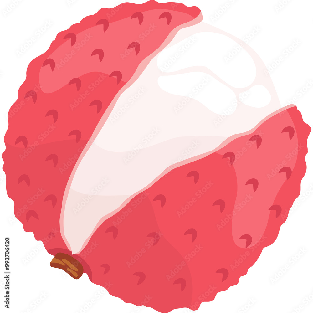 Fruit, Lychee, Tropical Fruits, Illustration Hand drawn Fruit, Lychee, Tropical Fruits, Illustration Hand drawn