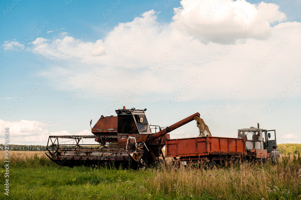 Fototapeta premium an old combine harvester unloads grain into a truck