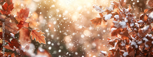 Autumn landscape with colorful leaves, sunslight and morning dew, long horizontal banner photo