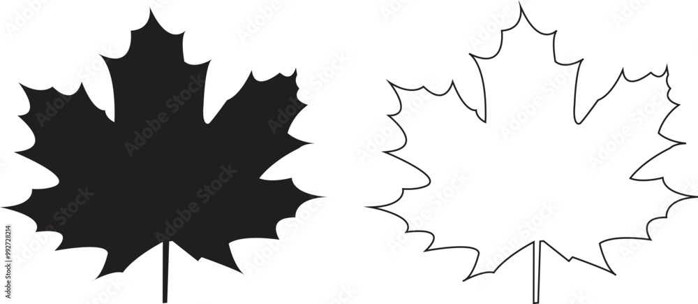 Maple leaf silhouette and outline vector icon set on white background Maple leaf silhouette and outline vector icon set on white background