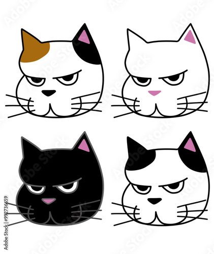 やんちゃな猫