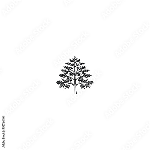 tree silhouette vector