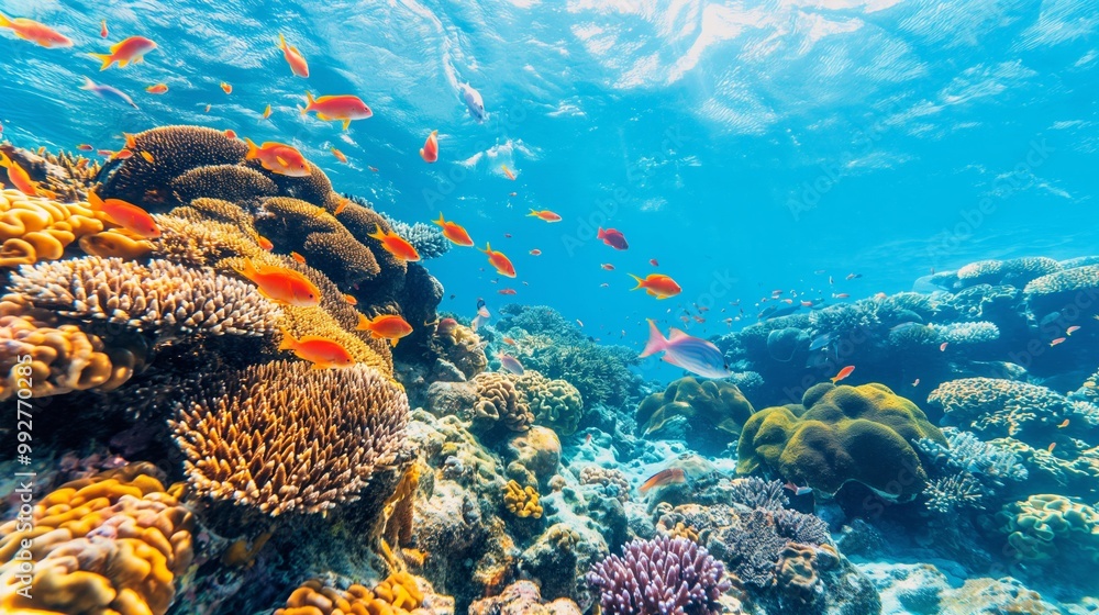 Naklejka premium vivid color of ocean with clear water and little fishes in the good day