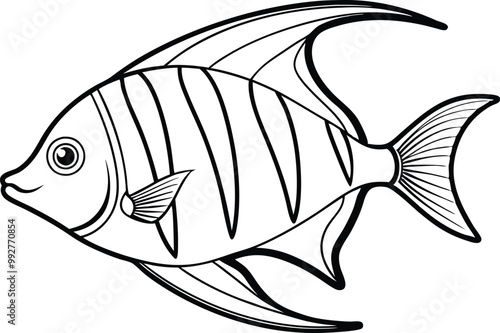 Angelfish line art vector illustration on white background.