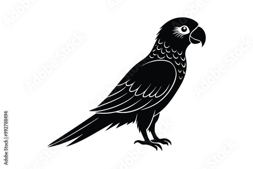 parrot bird silhouette vector art illustration on white background photo