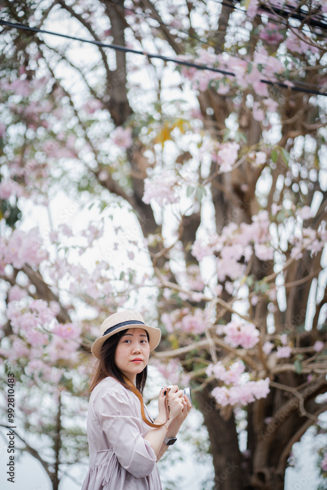 In springtime an asian woman photographer captures the moment In springtime an asian woman photographer captures the moment