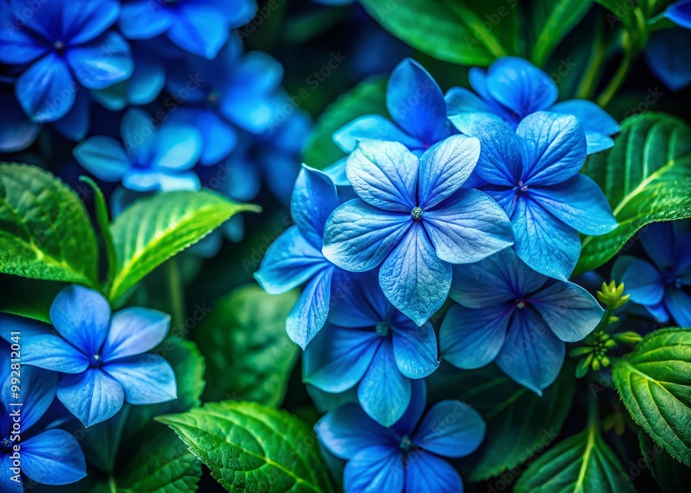Elegant Blue Floral Background with Delicate Petals and Lush Green Leaves for Creative Projects Elegant Blue Floral Background with Delicate Petals and Lush Green Leaves for Creative Projects