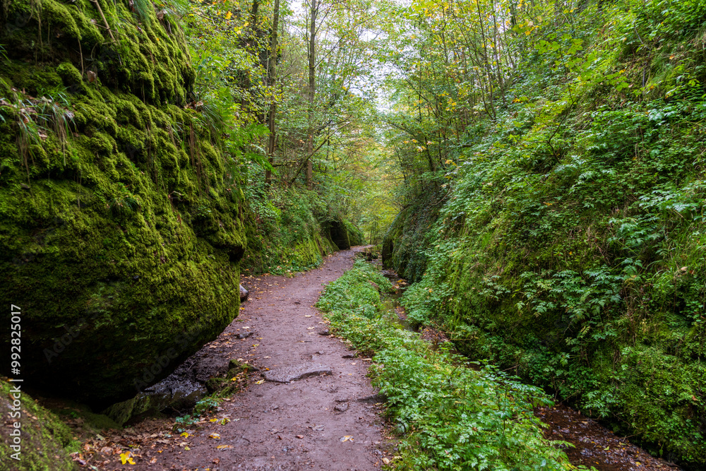 Fototapeta premium Dragon Gorge, Hiking area in Eisenach, Thuringia, Germany