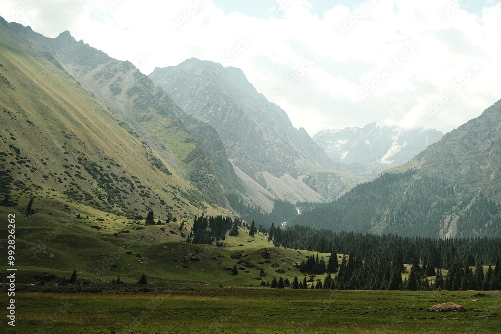 Obraz premium Harsh mountain landscape, snow and grass