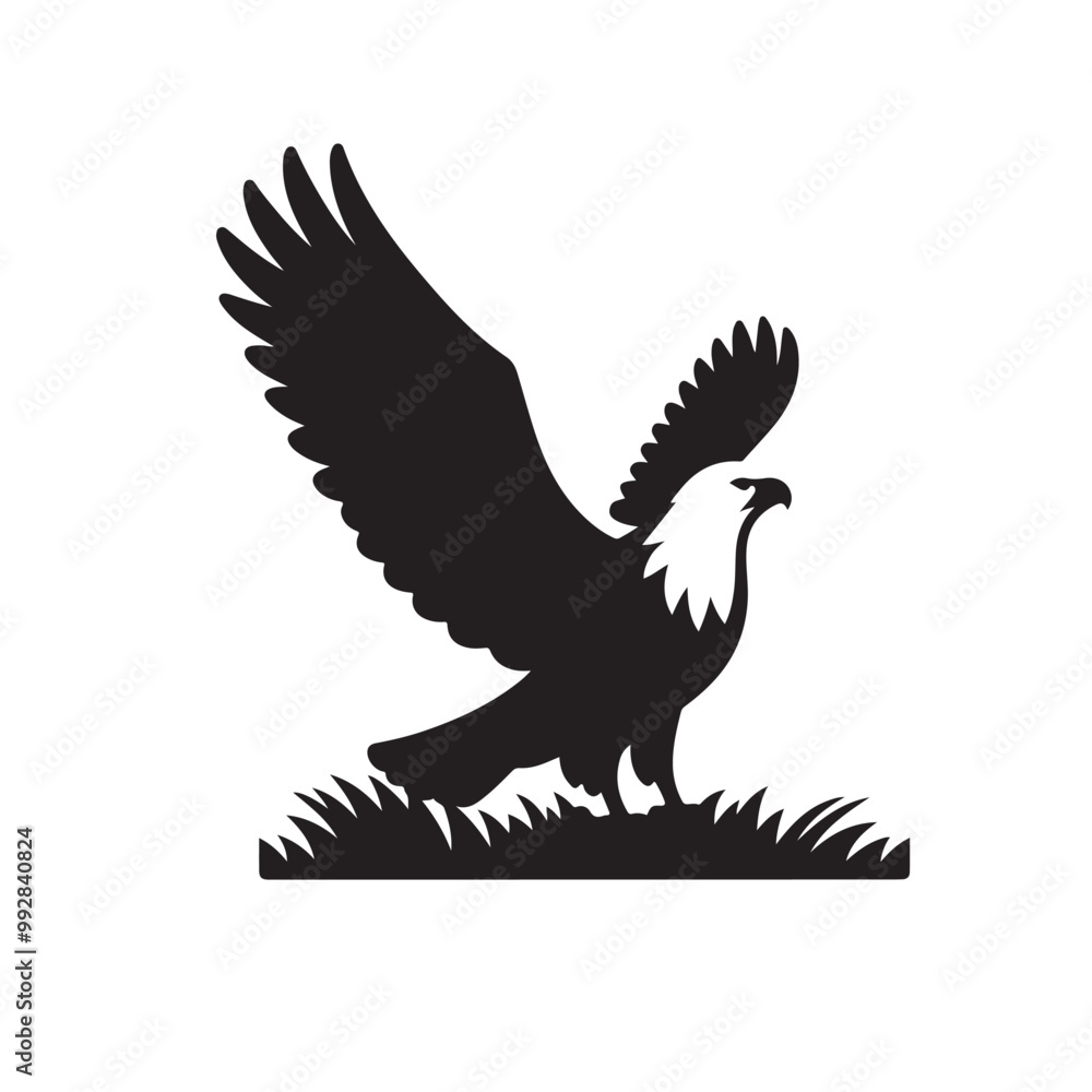 Fototapeta premium Silhouette of an eagle, silhouette of a flying bird., vector eagles collection