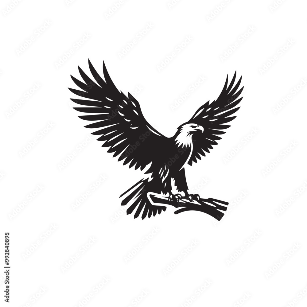 Silhouette of an eagle, silhouette of a flying bird., vector eagles collection Silhouette of an eagle, silhouette of a flying bird., vector eagles collection