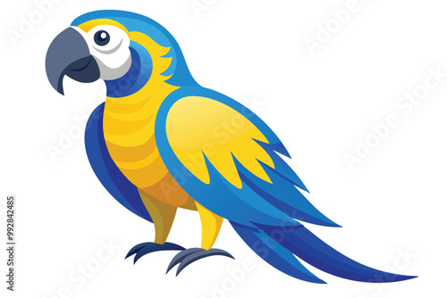 blue and yellow macaw Ara bird illustration on white background.