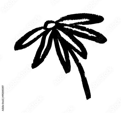 Spring flower hand drawn. Ink drawing wild flowers, brush painted herbs. Floral drawings collection