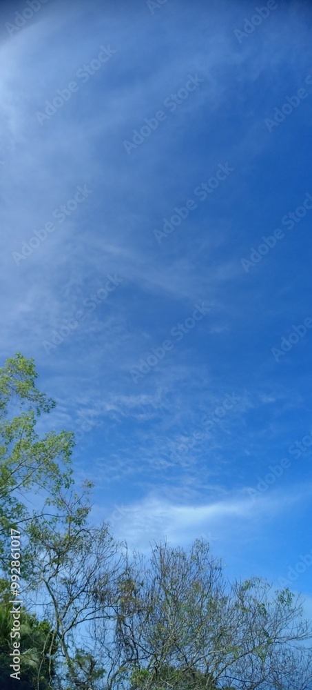 Obraz premium sky and clouds