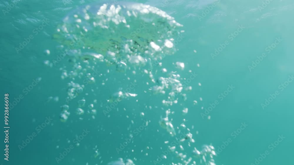 Underwater capture of bubble rings created by a photographer, swimming in the clear waters of the Pacific Ocean Underwater capture of bubble rings created by a photographer, swimming in the clear waters of the Pacific Ocean