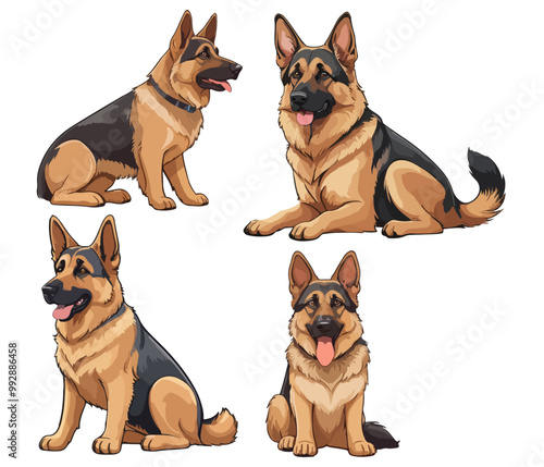 Set of German shepherd dogs in different poses, vector illustration