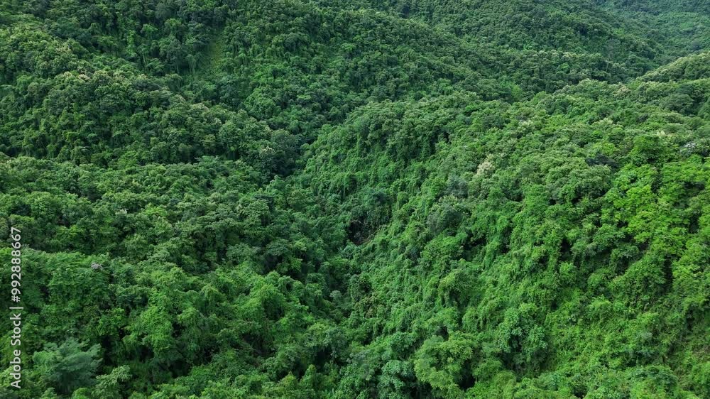 Aerial drone shot over primary Jungle tropical rain forest in Nan, Thailand. Aerial view, moving over a rainforest tree canopy in a slow pace beautiful green nature background of a tropical forest. Aerial drone shot over primary Jungle tropical rain forest in Nan, Thailand. Aerial view, moving over a rainforest tree canopy in a slow pace beautiful green nature background of a tropical forest.