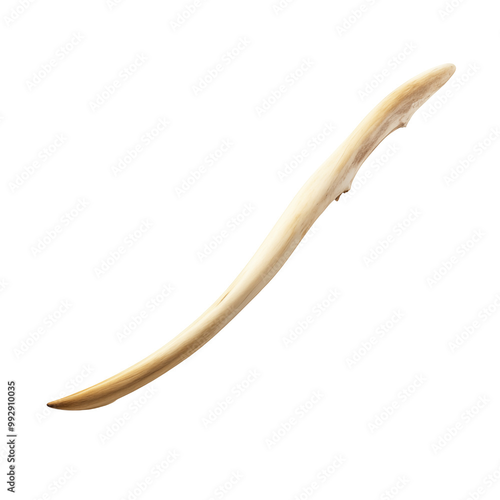 Curved Wooden Stick With Natural Texture Isolated On White Background Curved Wooden Stick With Natural Texture Isolated On White Background