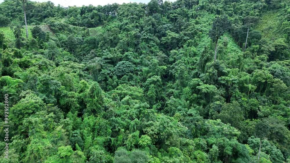 Aerial drone shot over primary Jungle tropical rain forest in Nan, Thailand. Aerial view, moving over a rainforest tree canopy in a slow pace beautiful green nature background of a tropical forest. Aerial drone shot over primary Jungle tropical rain forest in Nan, Thailand. Aerial view, moving over a rainforest tree canopy in a slow pace beautiful green nature background of a tropical forest.