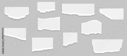 White torn paper tears pieces collection isolated with soft shadows realistic vector illustration